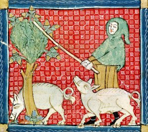 Fol.59v Noviembre: Recolección de bellotas de Matfre Ermengaut